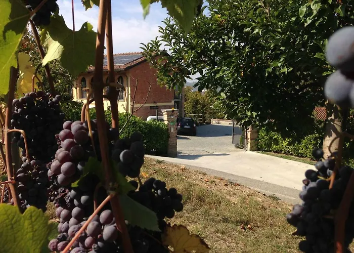 Cascina Barin Farm stay